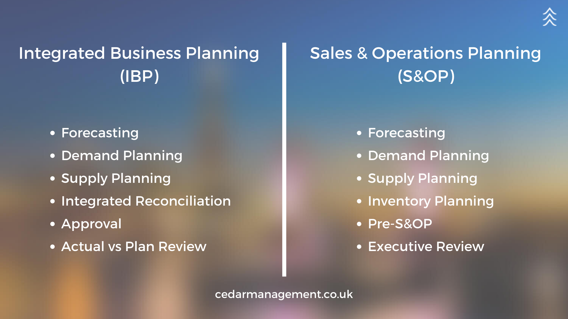 integrated business planning vs s&op
