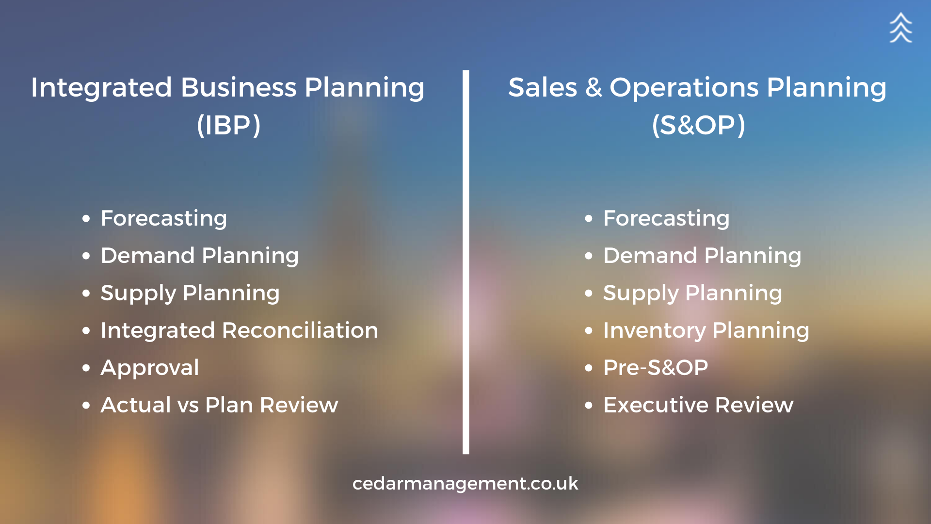 Integrated Business Planning Ibp And Sales Operations Planning S Op The Official Cedar Management Blog