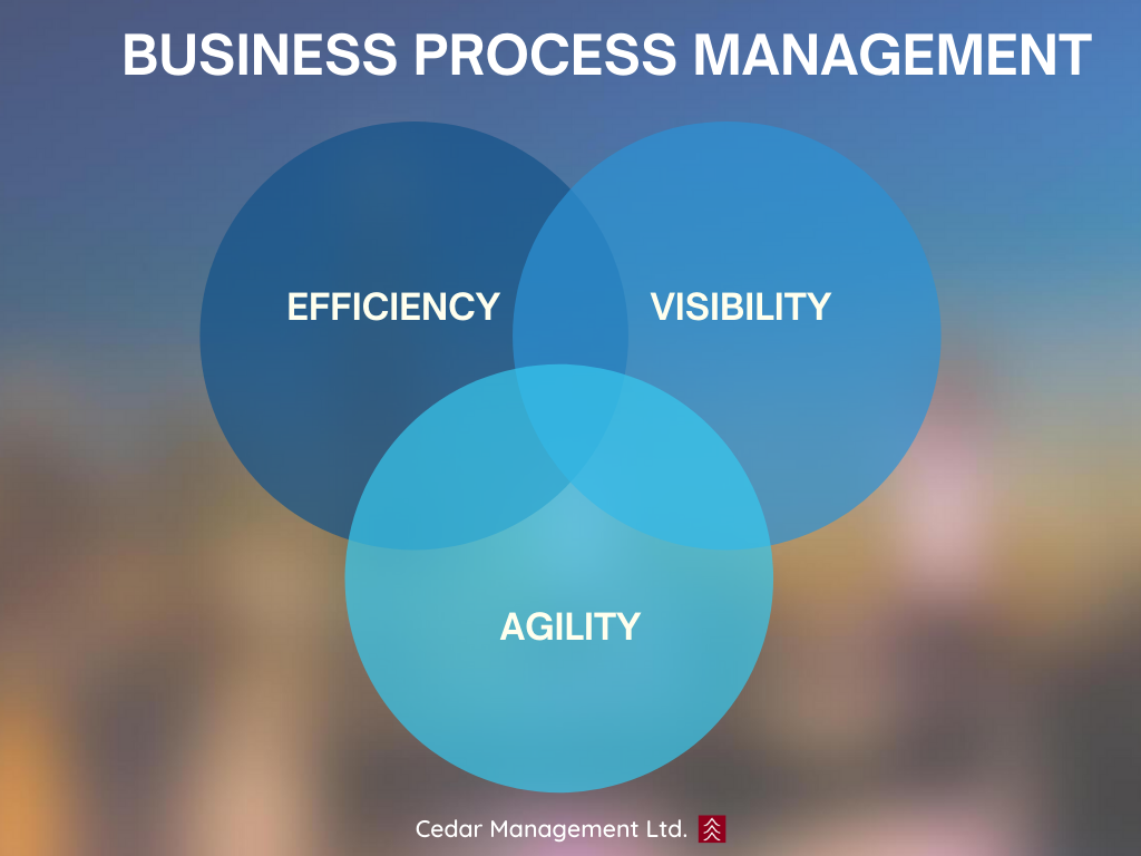 Business Process Management - The Official Cedar Management Blog